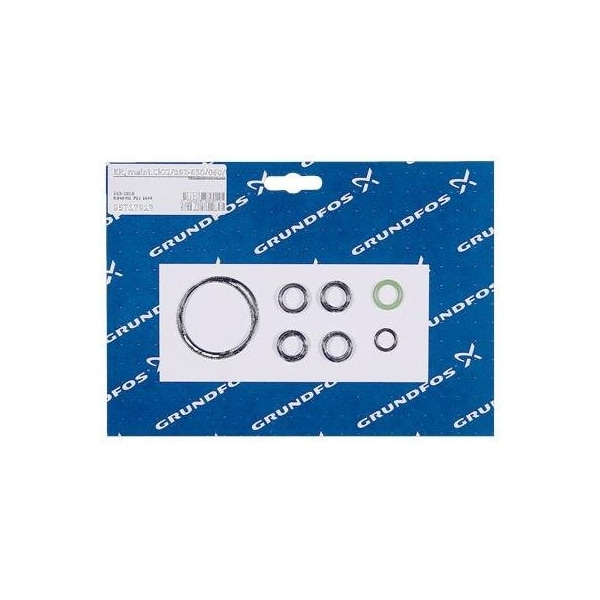 Pump Repair Parts- Kit, maint.ClO2/162-030/060/FKM/reactor, Dosing Pumps.